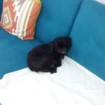 Warren Marr - @wmmarr - Instagram