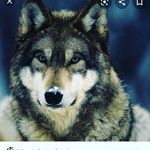 Warren Ocho Martinez - @warrenmartinez400 - Instagram