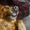 warren maxwell - @warren.maxwell3 - TikTok