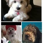 Warren Maxwell - @wazzais - Instagram