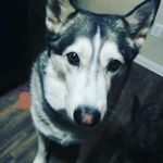 Warren.Medrano816 - @warren.mayo - Instagram