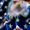 warren mcclure - @warrenmcclure8977 - TikTok