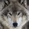 Warren McGary - @warren.mcgary - TikTok