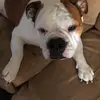 warrenmelton825 - @warrenmelton825 - TikTok
