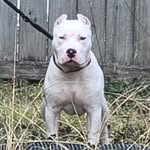 Warren Mobley - @thetastyfresh - Instagram