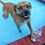 Warren Moran - @moran.warren - Instagram