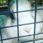 Caroline Warren - @mullenwarren383 - Instagram