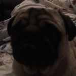 Oakley Warren - @oakleywarren29 - Instagram