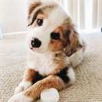 Warren Odom - @warren.odom.908 - Instagram