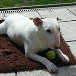 Warren Ogden - @bubba6370 - Instagram