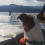 Warren Olson - @warren.olson.357 - Instagram