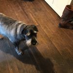 warren pass - @warrenpass5 - Instagram