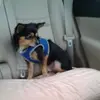 Warren Pearson - @warren.pearson4 - TikTok
