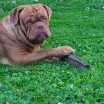 Warren Peters - @warren.peters.29 - Instagram