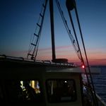 Warren Plummer - @plummer.warren - Instagram