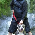 Warren Powell - @hugobosspocketbully2 - Instagram