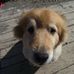 Warren Power - Facebook