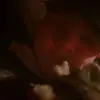 Preston_w - @prestonwarren0 - TikTok