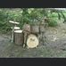 Warren Tim Riggs - Facebook