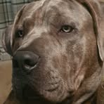 Warren Roberts - Facebook
