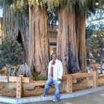Warren Rogers - @wlrogers60 - Instagram