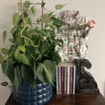 Warren Rowe - @warrenrowe1102 - Instagram