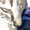 Warner Sadler ON YouTube - @warner_sadler - TikTok