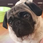 Warren Saunders - @warren.saunders.68 - Instagram