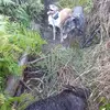 Warren Saunders - @warren.saunders6 - TikTok