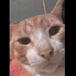otto warren schroeder portillo - @otto.warrenschroederportillo - Instagram