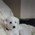 Warren Schuster - Facebook