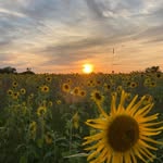 Warren Schuster - @warrenschuster77 - Instagram