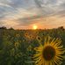 Warren Schuster - Facebook