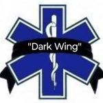 Warren Scribner - @medicscrib - Instagram