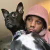 Warren - @warseals - TikTok