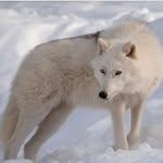 Warren Seitz - @warren.seitz.52 - Instagram