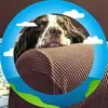 Warren Shadd - @warren.shadd - TikTok
