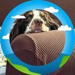 Warren Shadd - @shaddwarren - Instagram