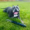 Warren Shaffer - @warrenshaffer6445 - TikTok
