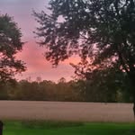 Warren Shields - @shieldswarren - Instagram