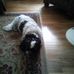 Warren Schierman - Facebook
