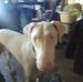 Warren Short - Facebook