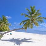 WarrenSkinner - @warrenskinner150 - Instagram