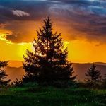 WarrenSkinner - @warrenskinner142 - Instagram