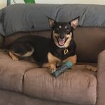 Warren Slater - @slater.warren - Instagram