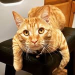 Warren Meyers - @warrensleeps - Instagram