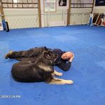 Warren Smiley - @dutchshepherd01 - Instagram
