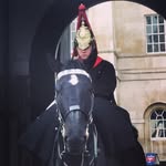 Warren Smith - @warren967 - Instagram