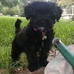 Debbie Warren Spivey - @twintwo1968 - Instagram