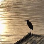 Warren Stanton - @warrenstanton64 - Instagram